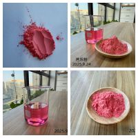 西安賓果生物提供芭樂粉
