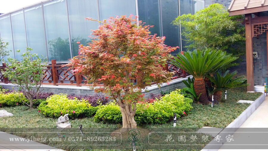 IMG_7109.JPG