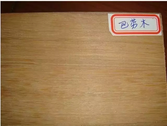 21.webp.jpg