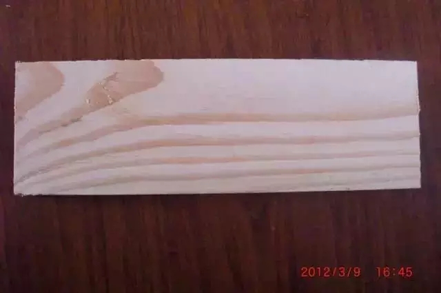 13.webp.jpg