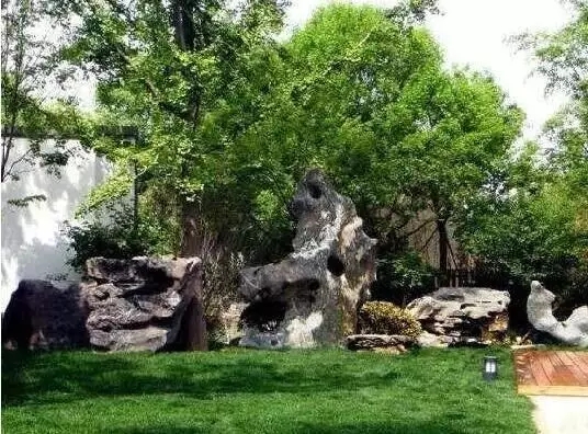 8.webp (1).jpg