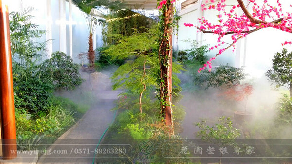 這樣的室內(nèi)庭院,簡(jiǎn)直讓我尖叫!