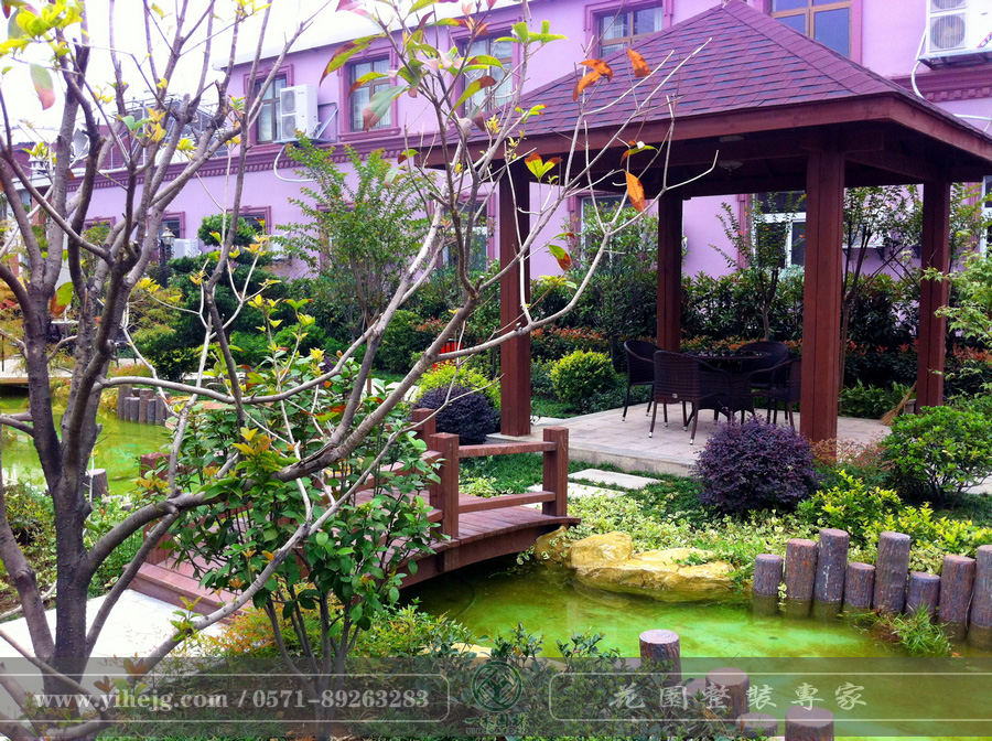IMG_6642-d3a8326c-ae7c-4eab-bed6-5d37d4426b3b.jpg